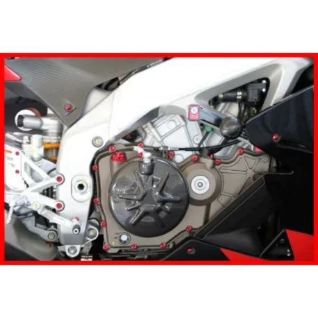 APRILIA RSV 1000 ENGINE BOLTS KIT EVOTECH