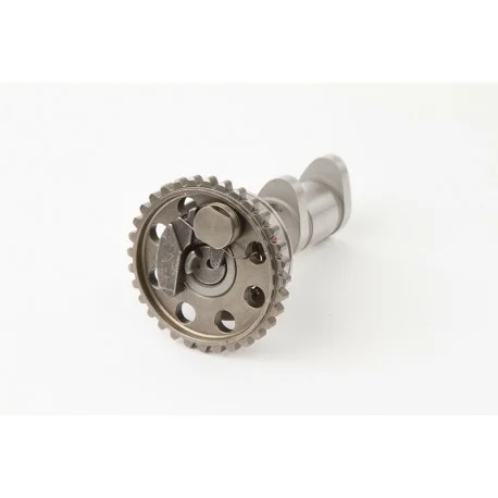 Arbre a cames echappement HOT CAMS – Niveau 1 Yamaha YZ450F