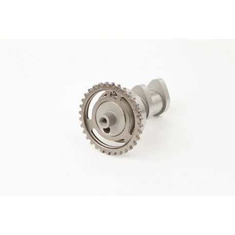 Arbre a cames echappement HOT CAMS – Niveau 2 Suzuki RM-Z250