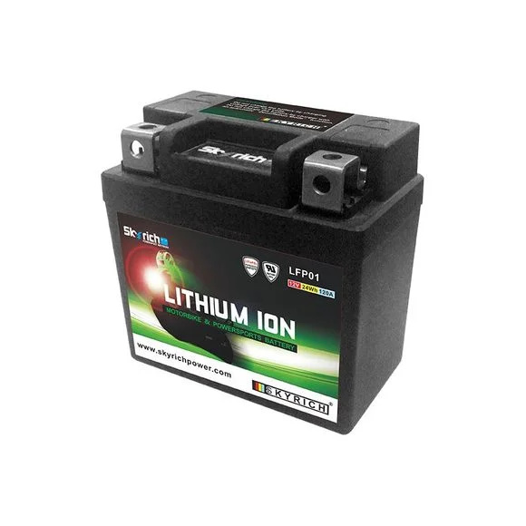Batterie Skyrich LITHIUM LFP01 Ref : LFP01