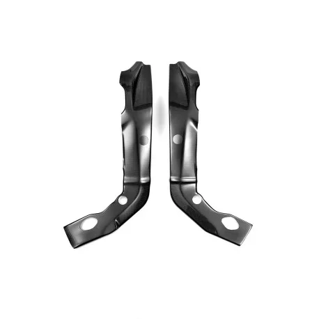 BMW S1000RR CARBON FRAME PROTECTION