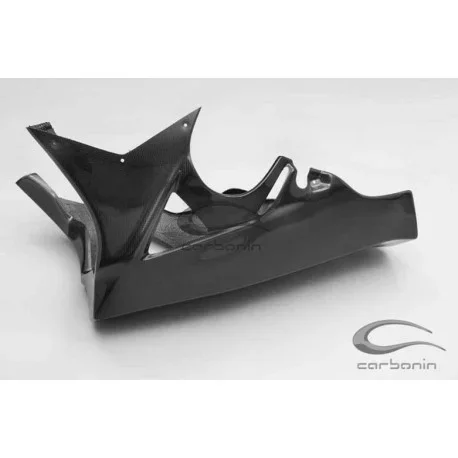 BMW S1000RR Lower Fairing Carbon