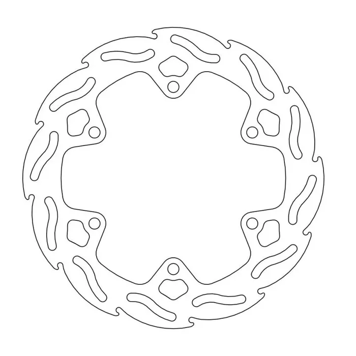 BRAKE DISC FLAME REAR