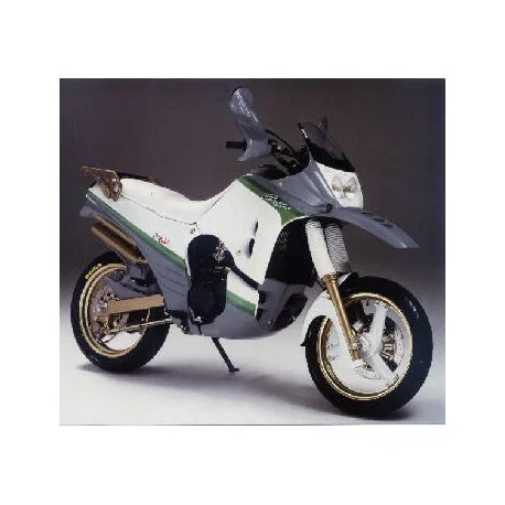 bulle ERMAX racing godier genoud 650 raid