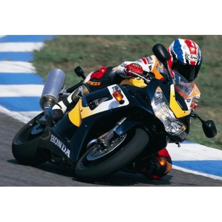 bulle ERMAX racing HONDA CBR 900 RR FIREBLADE 2000-2001