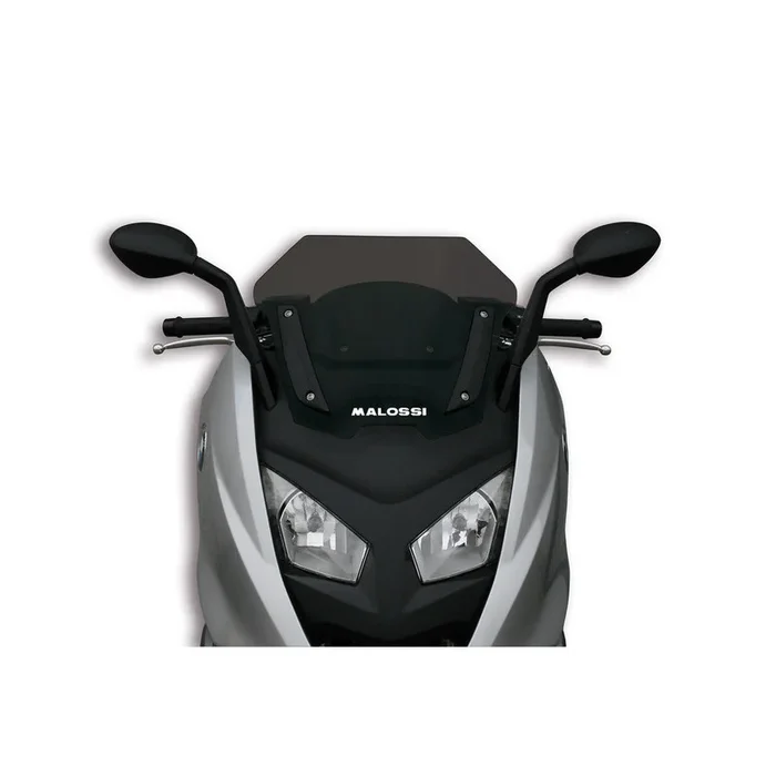 Bulle MALOSSI Sport – BMW C600