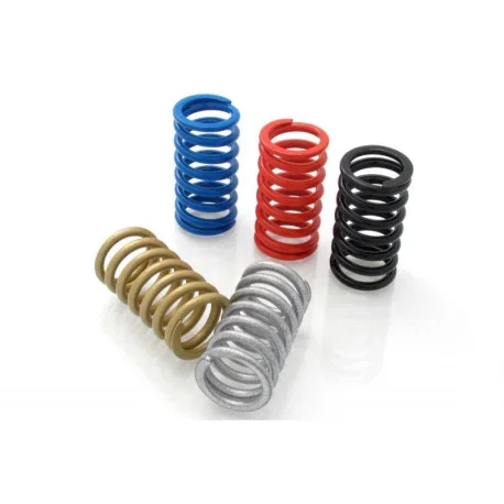 CLUTCH SPRING KIT H40