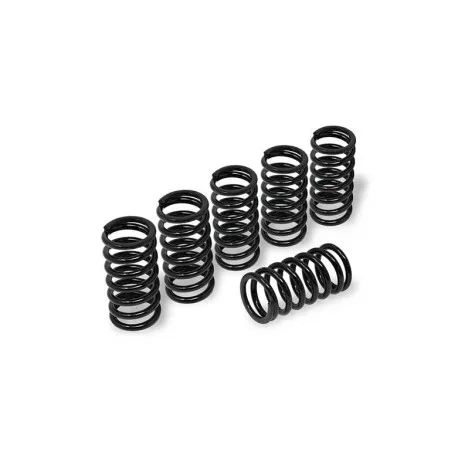 CNC RACING CLUTCH SPRING H45 BMW
