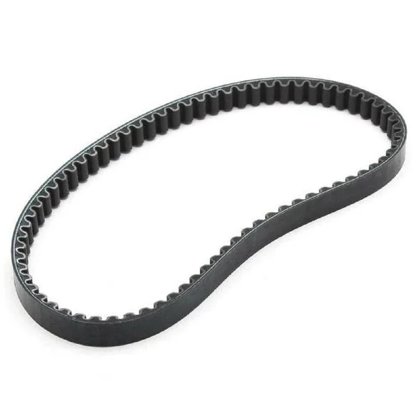 Courroie de transmission ContiTech standard Ref : CONTE00004A / 1048351