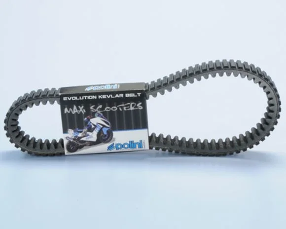 Courroie de transmission Polini Kevlar renforcée Ref : POL00024A / 1042558