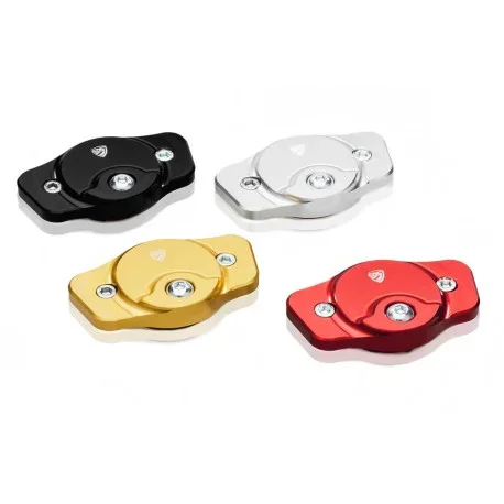 Ducati Camshaft Cover – Streaks