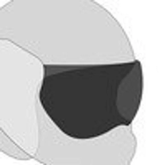 Ecran casque ROOF SOLAIRE 100% – RO9 BOXXER / BOXXER CARBON / BOXXER V2 – Noir Ref : RO0167 / 10278100