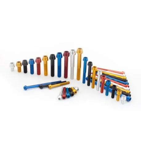 ERGAL SCREW TCCE M8X60