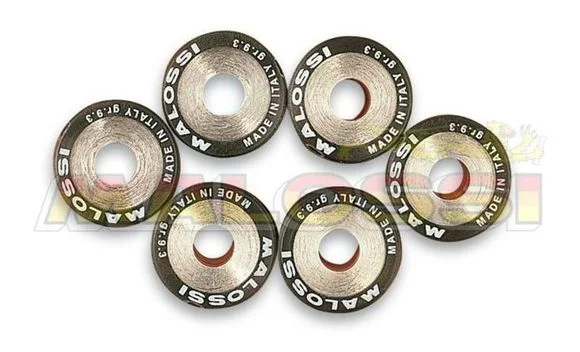 Galets de variateur Malossi Jeu de 20×14,6mm 15,5gr – 6 pièces Ref : MAL00195A / 1007888