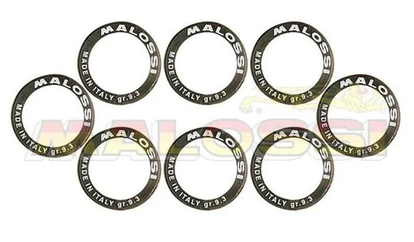 Galets de variateur Malossi Jeu de 25×14,9mm 10gr – 8 piècesKYMCO 400 X CITING 400I – 2012Ref : MAL00201A / 1007907