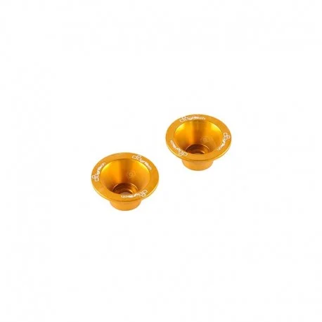 Insert ergal pour protection axe de roue LIGHTECH or
