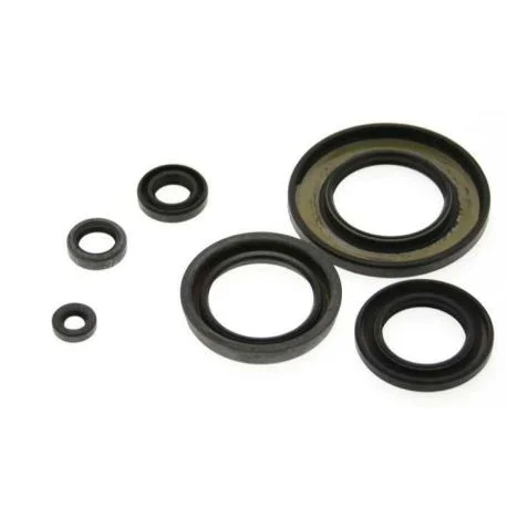 Jeu de joints spi CENTAURO BUELL TOUS MODELES 1997 – 2002, HARLEY DAVIDSON 1200 SPORTSTER 1991 / 2004