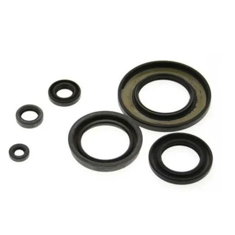 Jeu de joints spi CENTAURO KTM GS 240 MX 240 GS 250 MX 250