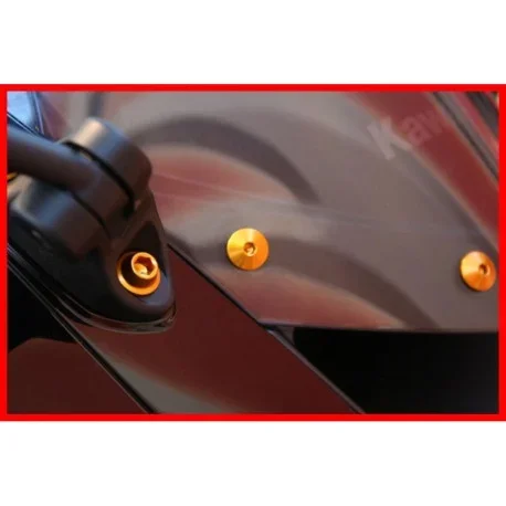 KAWASAKI ZX10R WINDSCREEN SCREW KIT EVOTECH