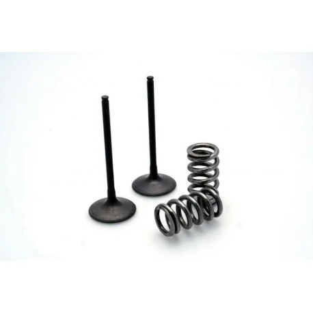 Kit conversion de soupapes d&rsquo;admission PROX acier GAS GAS EC 450 F YAMAHA WR 450 F YFZ 450