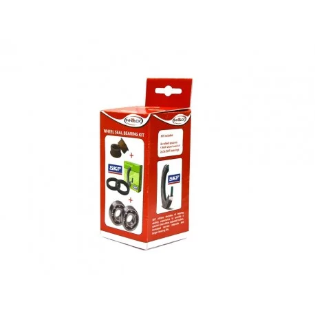 Kit roulements de roue arriere INNTECK