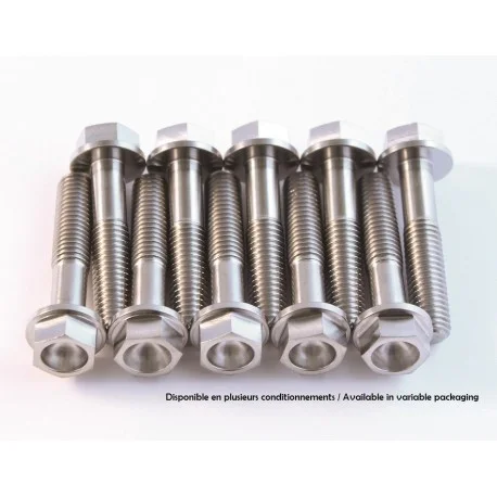 Kit vis titane SCAR M6x30 pour pied fourche moto