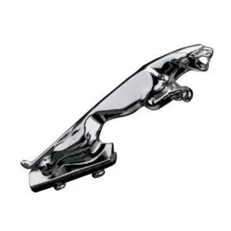 Panthere pour garde boue moto chrome