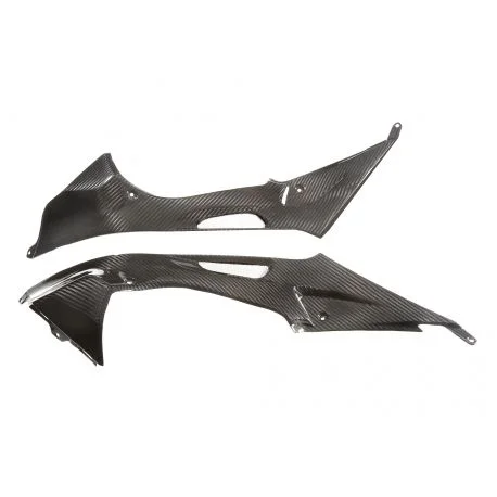 Protection laterales reservoir carbone avec partie arriere BMW S1000RR 2012-2013