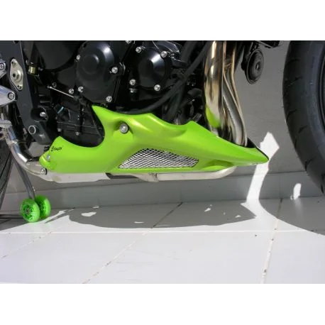 Sabot moteur ERMAX TRIUMPH 675 STREET TRIPLE 2008-2011