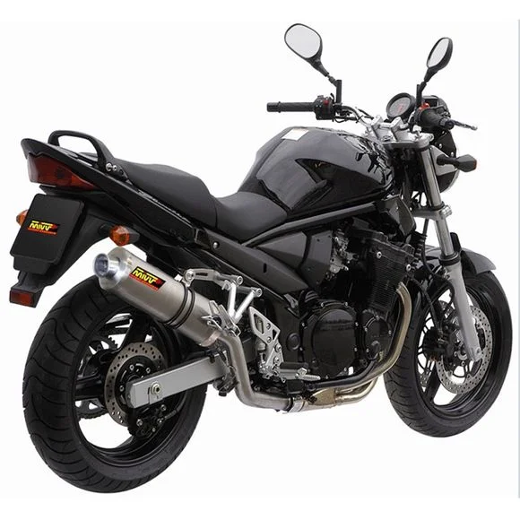 Silencieux Mivv Ovale Acier Ref : MVAS017LX1 / 1089241001