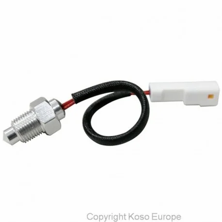 Sonde de temperature PT1/8 x 28 – 250°C Koso universelle