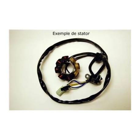 Stator avec bobine d&rsquo;allumage KAWASAKI KX250F SUZUKI RMZ 250 2004
