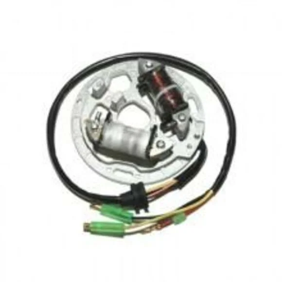 Stator d’allumage Electrosport Ref : ELS00092A / 1078119