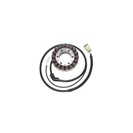Stator ELECTROSPORT – Kawasaki ZX12R