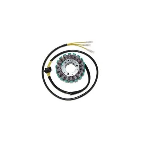 Stator ELECTROSPORT – Suzuki GS650
