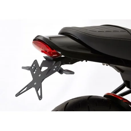 Support de plaque PROTECH X-SHAPE KAWASAKI Z900RS 2018-2021