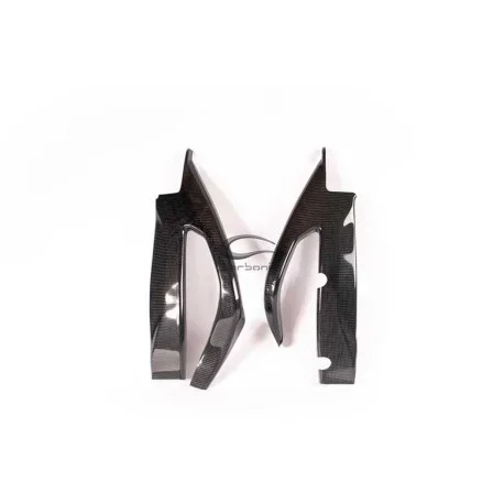 SUZUKI GSXR 1000 SWINGARM CARBON PROTECTION