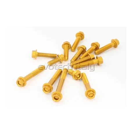 SUZUKI GSXS 1000 ENGINE BOLTS KIT EVOTECH