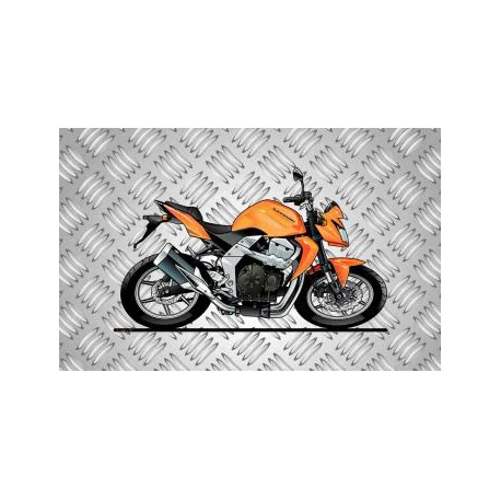 Tapis de sol Kawazaki Z750