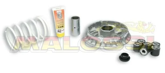 Variateur Malossi Multivar 2000 Ref : MAL00121A / 1008025
