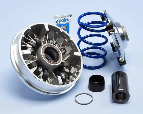 Variateur Polini Hi-Speed 12 galets Ref : POL00062A / 1107213