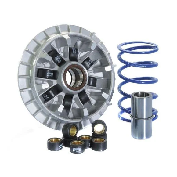 Variateur Polini HI Speed Ref : PN241693 / 1011890