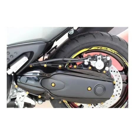 YAMAHA T MAX ENGINE SCREW KIT EVOTECH